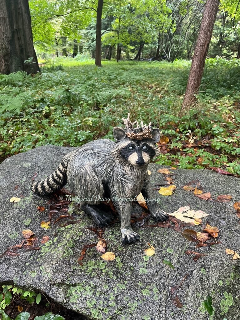 Blithewold Bamboo Birds - Racoon king - The Social Diary