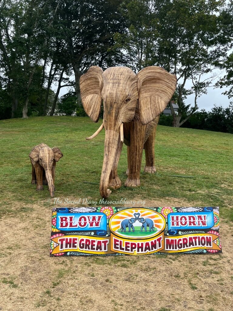 Community - Elephants mum and baby - The Social Diary