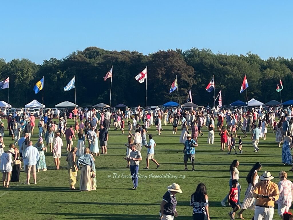 Newport Polo Divot stomp - The Social Diary