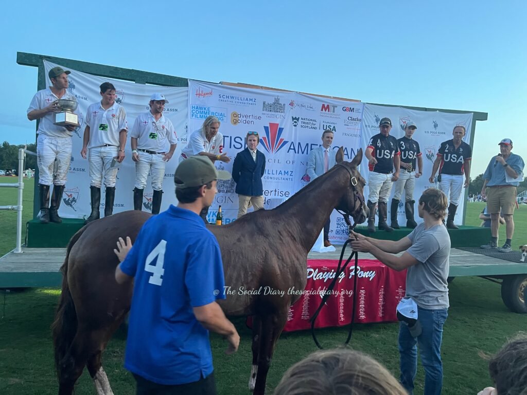 Newport Polo winning horse - The Social Diary