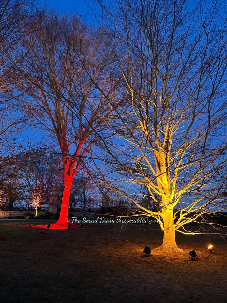 Sparkling Lights at The Breakers - Lit trees - The Social Diary