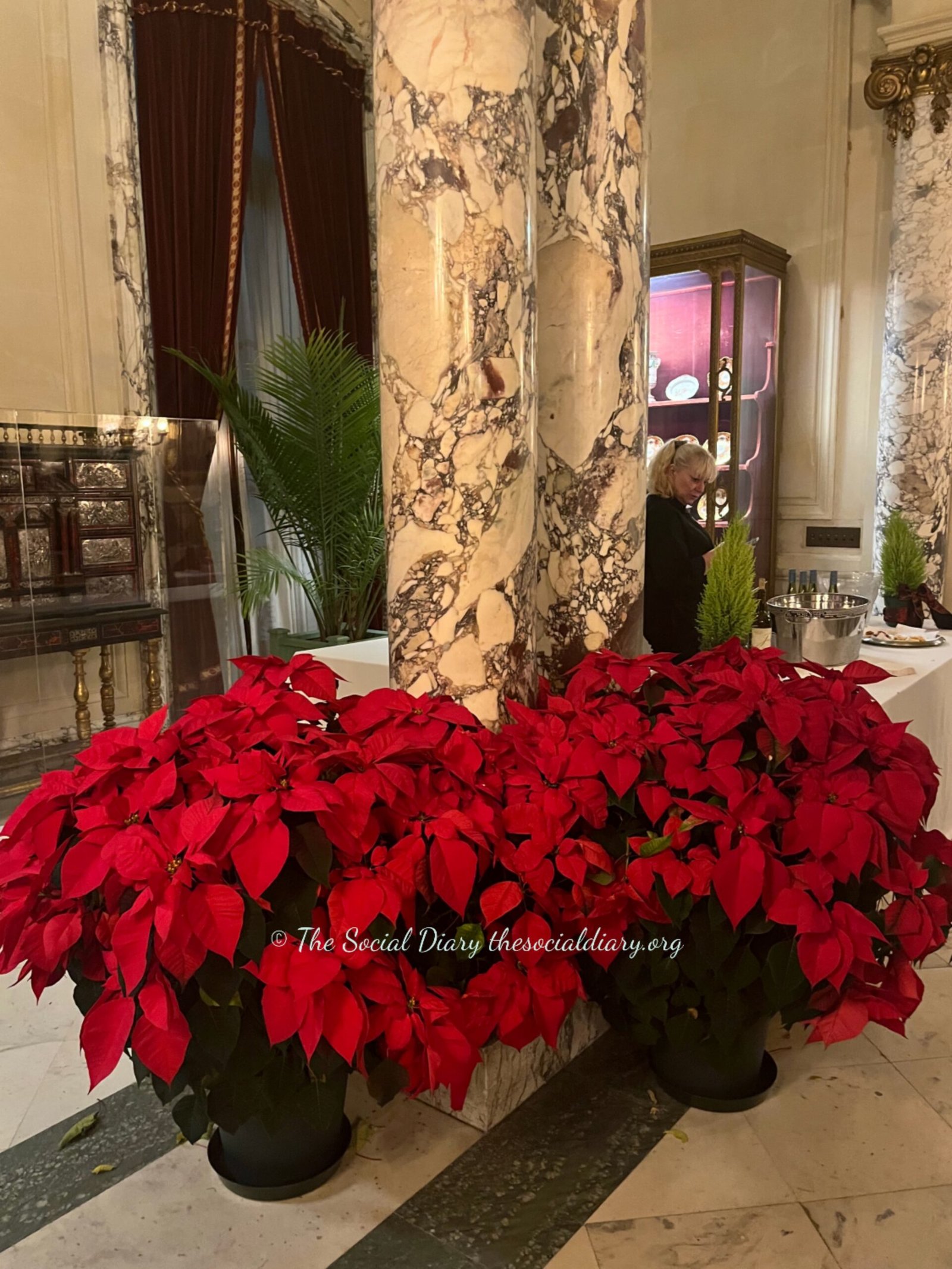  House Red Poinsettas - The Elms 2024 - The Social Diary