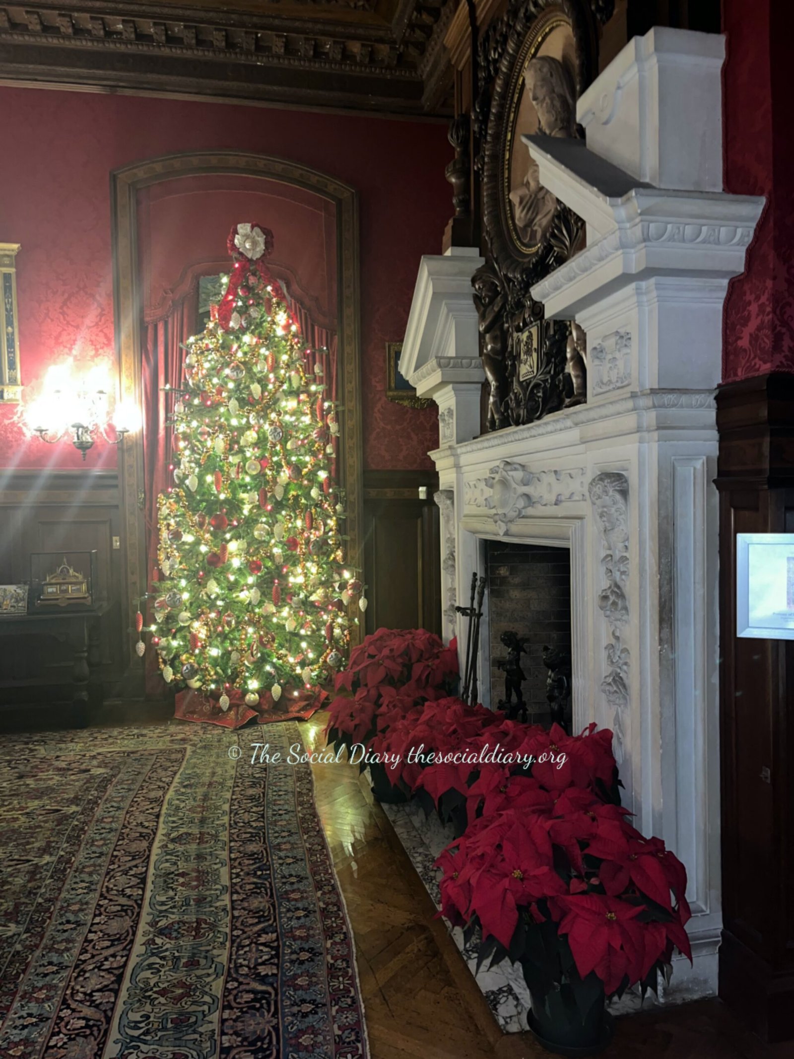 Tree and Red Poinsettas - The Elms Member Open House 2024 - The Social Diary