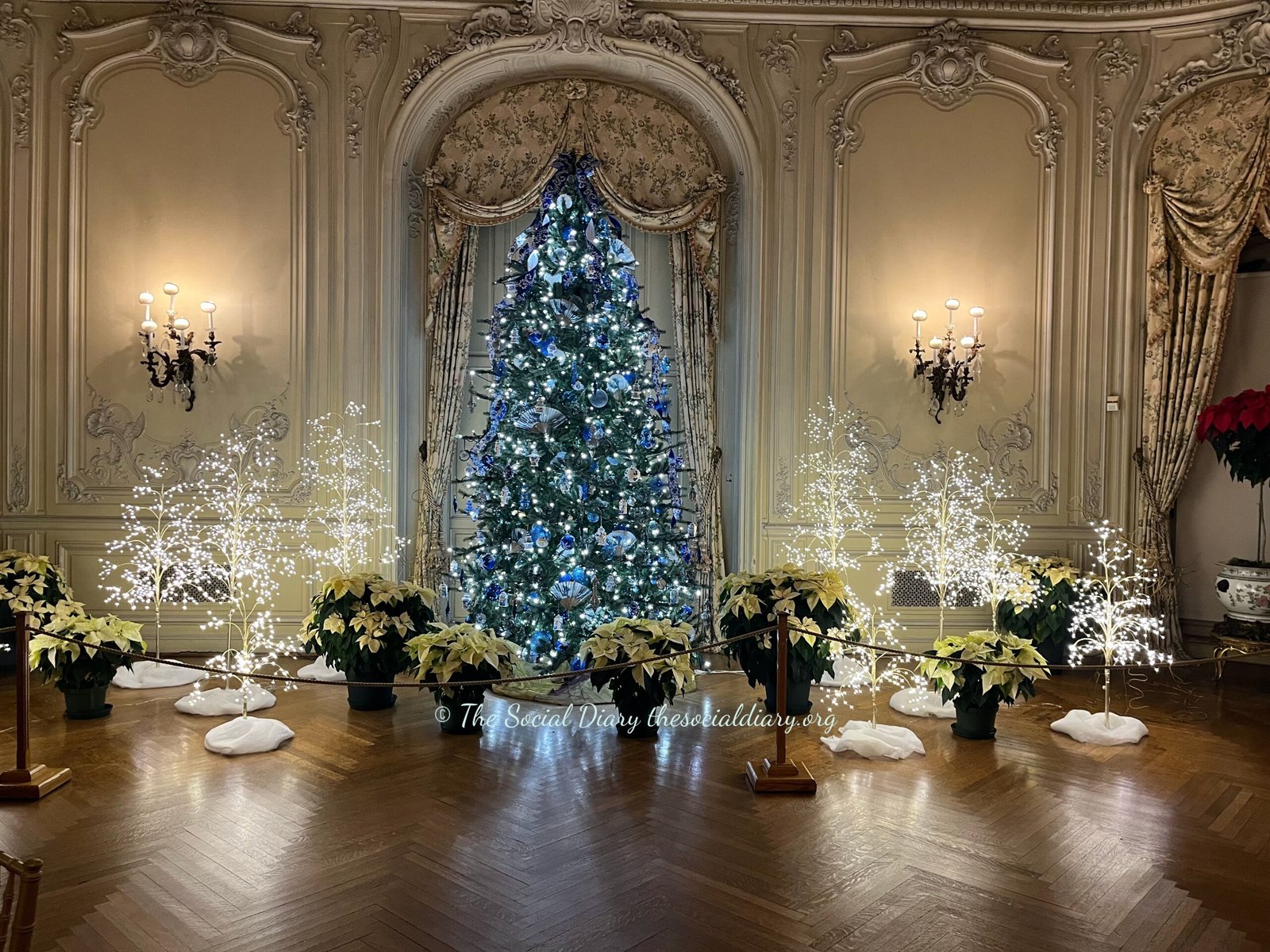 Member Holiday Open House - Tree and White - The Elms Member Open House 2024 - The Social Diary