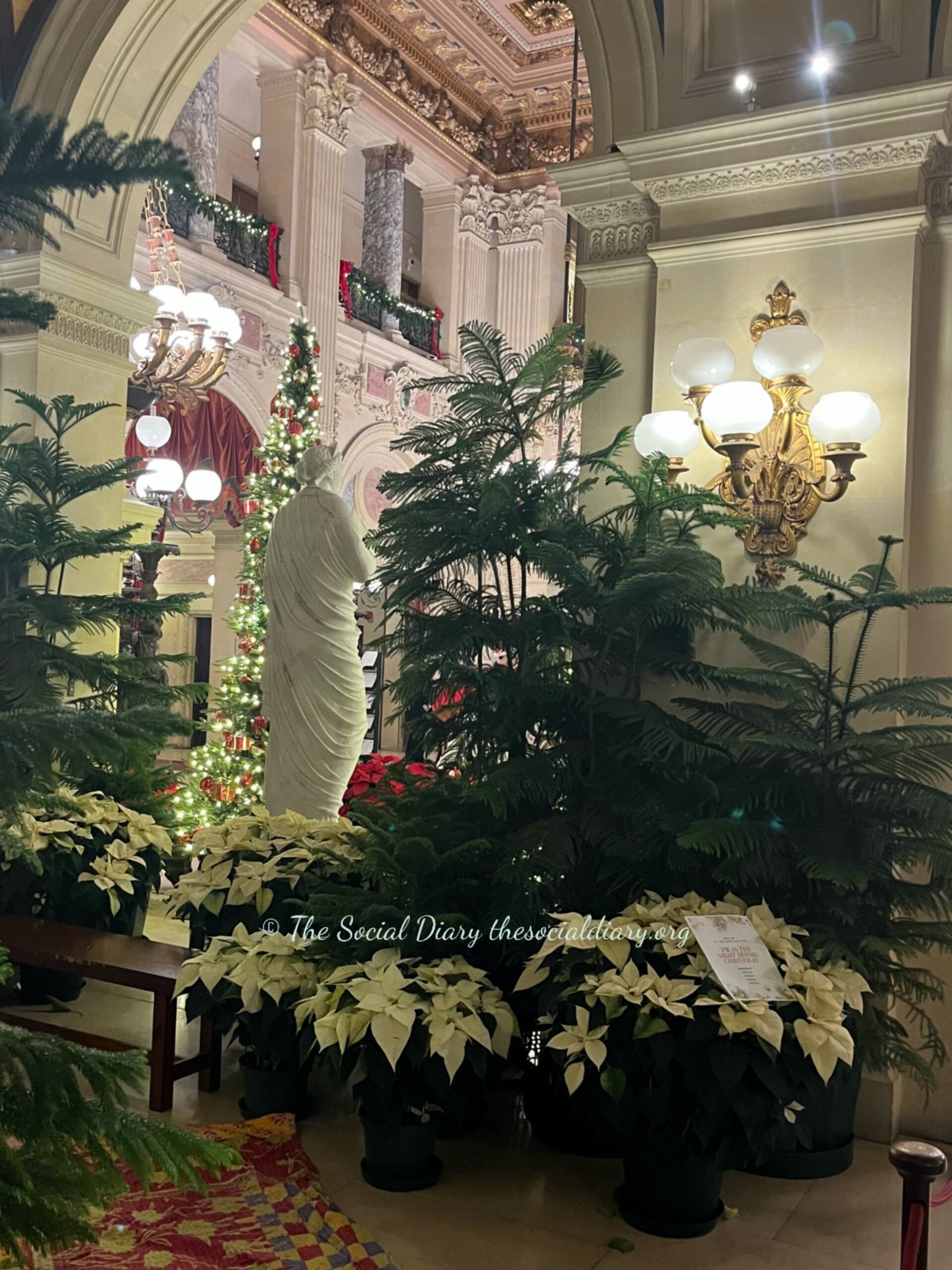 Member Holiday Open House - White Poinsettia - The Social Diary