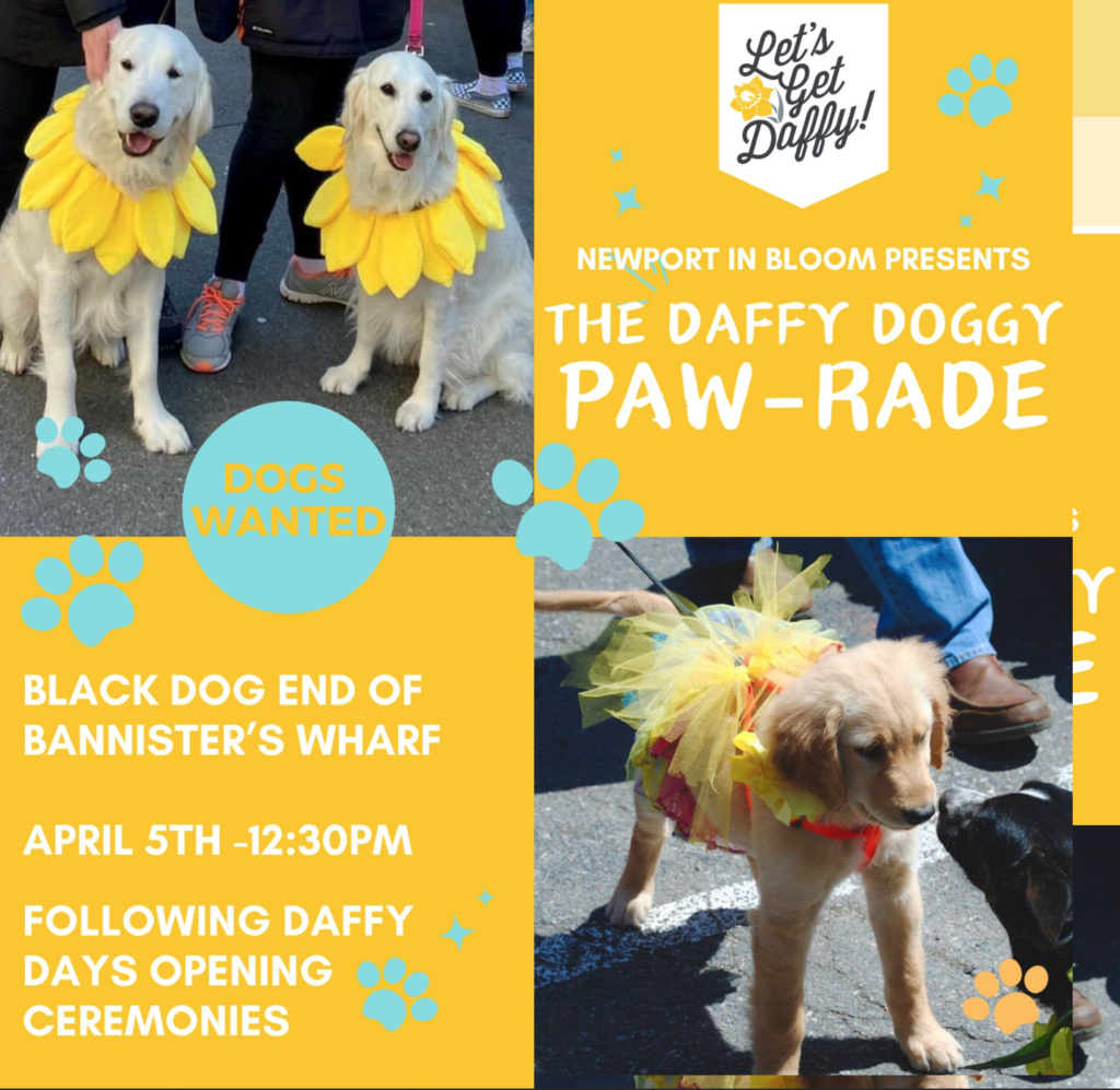 Daffy Doggy Parade 2025