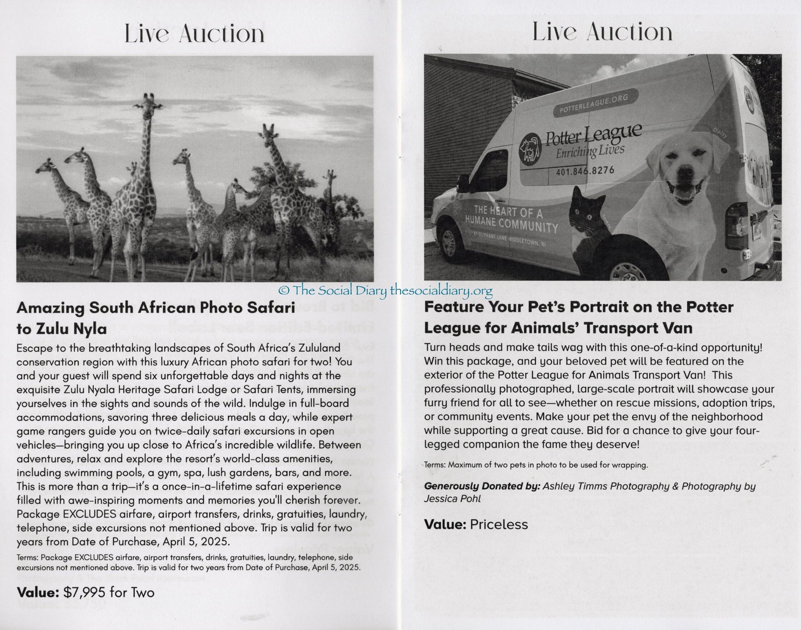 Live Auction Pawty winners - The Social Diary