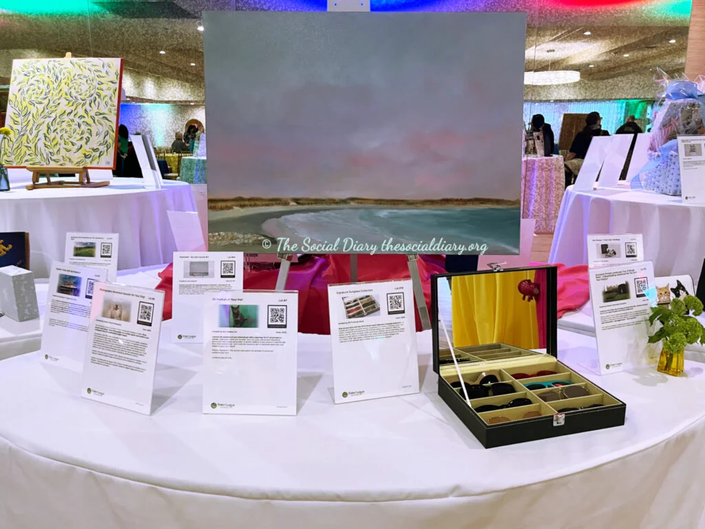 Auction5 - Love Bash Potter League - The Social Diary