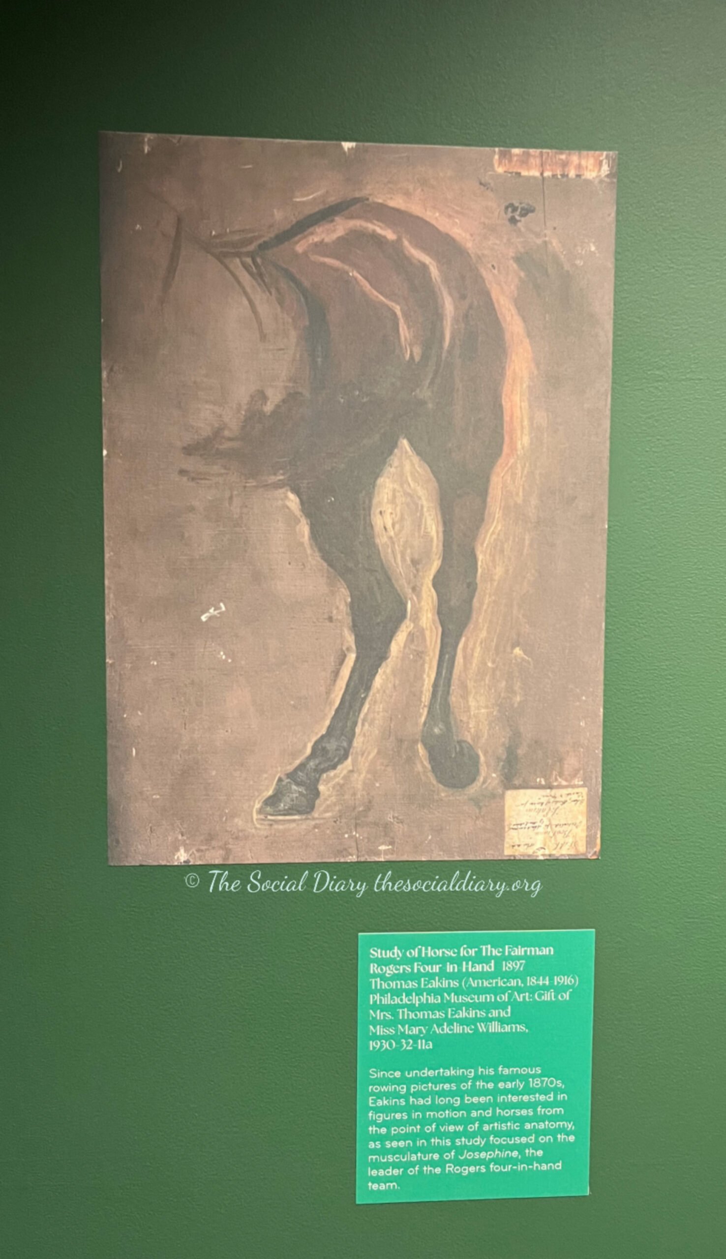 Bill Cunningham - Thomas Eakins at the Redwood Library - Horse Anatomy - The Social Diary