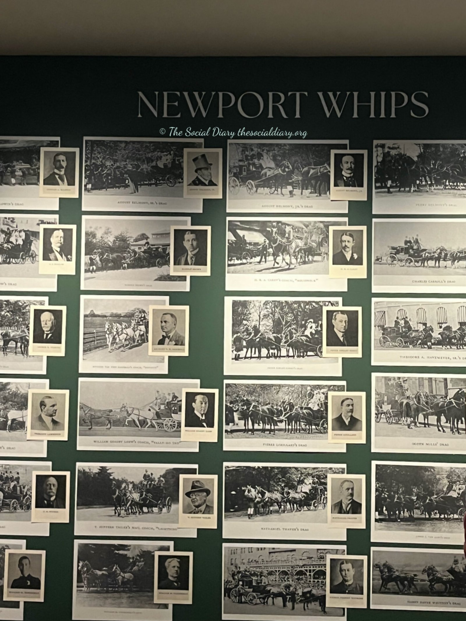Coaching - Newport Whips - The Social Diary