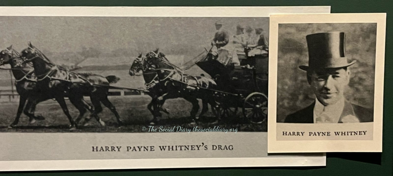 Coaching - Whip Harry Payne Whitney - The Social Diary