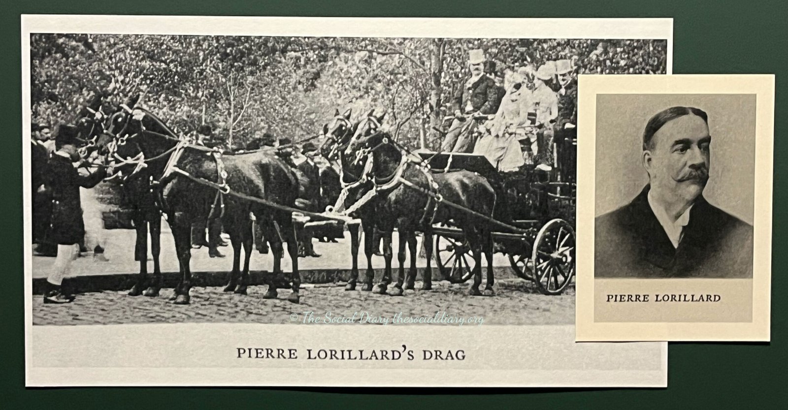 Coaching - Whip - Pierre Lorillard - The Social Diary