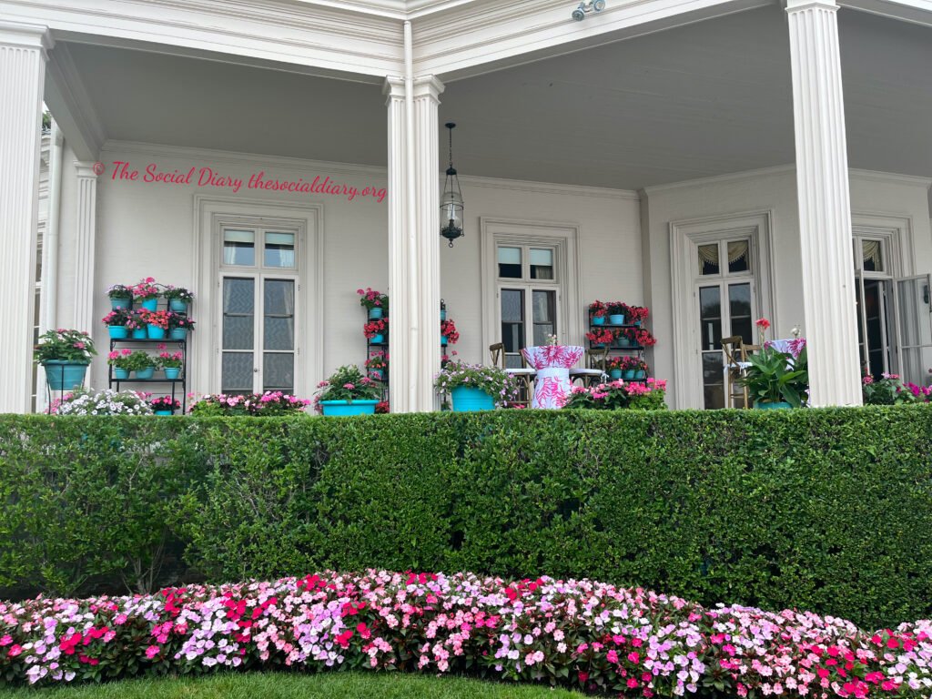 Yappy Hour at Beaulieu Newport patio1 - The Social Diary