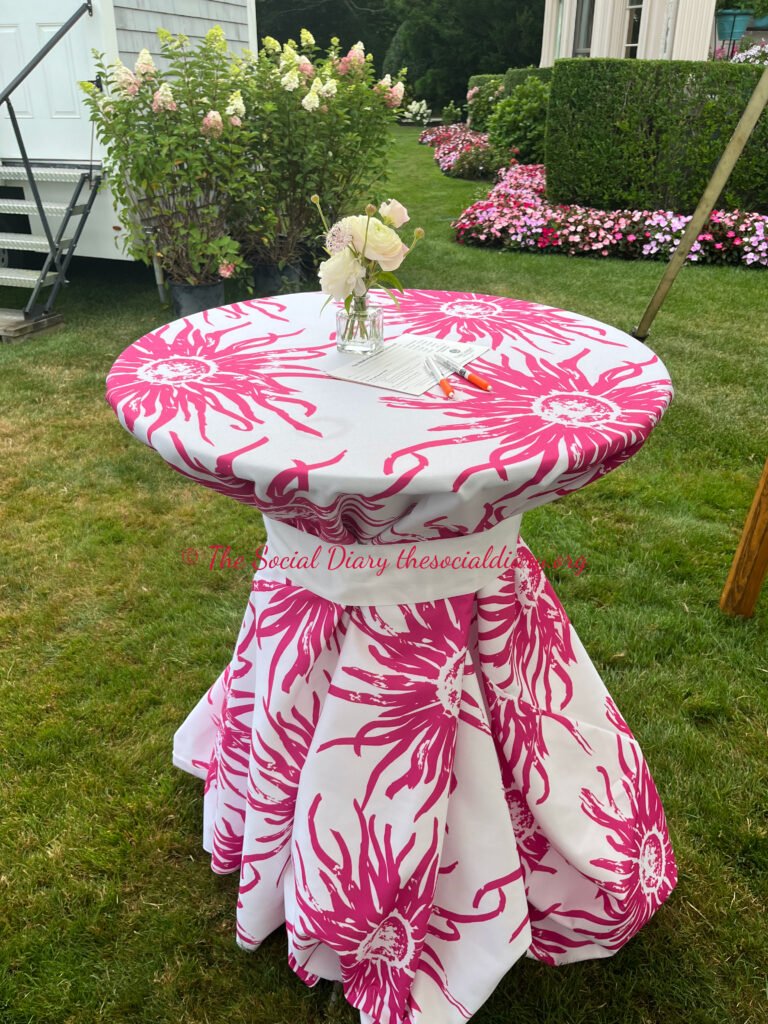 Beaulieu Garden Party - The Social Diary