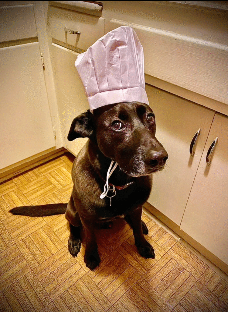 Chef Dog - In Celebration of Dogs - The Social Diary