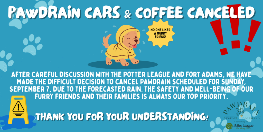 Community - Pawdrain rained out - The Social Diary