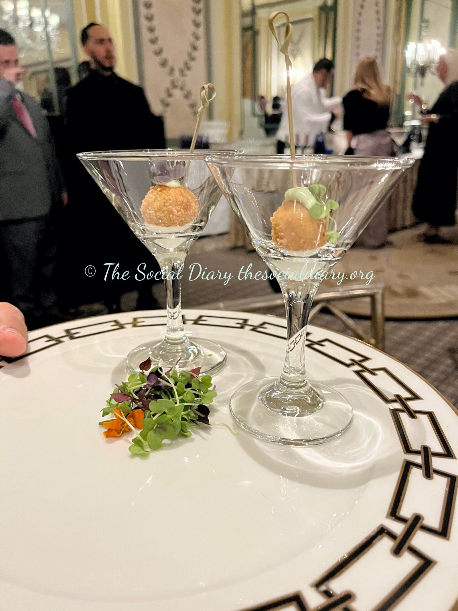 JBF Gala for Good - Reception bites - The Social Diary