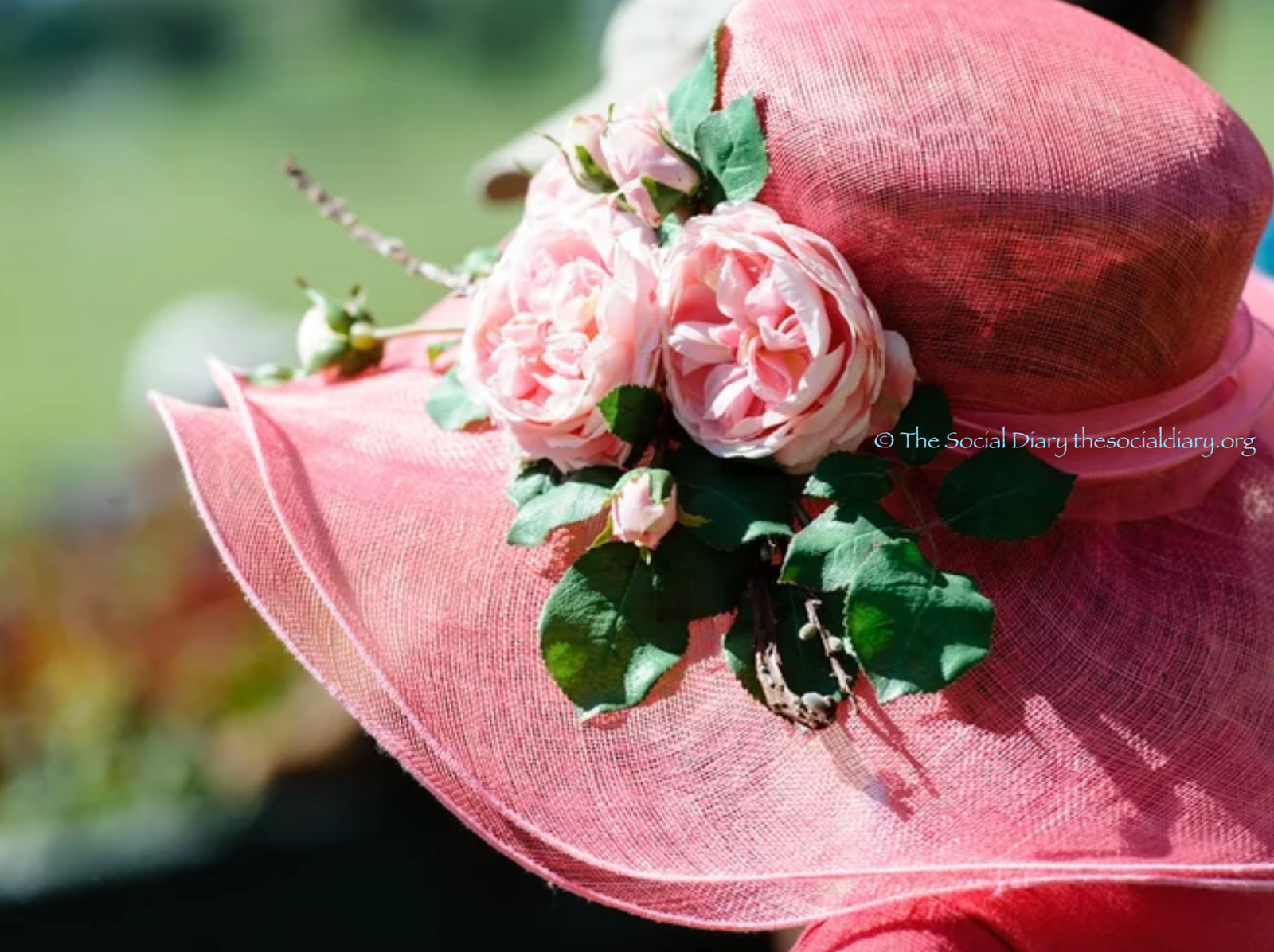 Community - Utopia 2026 floral explosion - The Social Diary