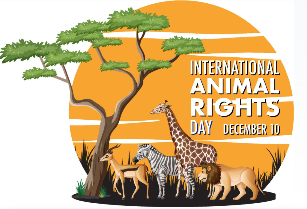 International Animal Rights Day Dec 10th - The Social Diary