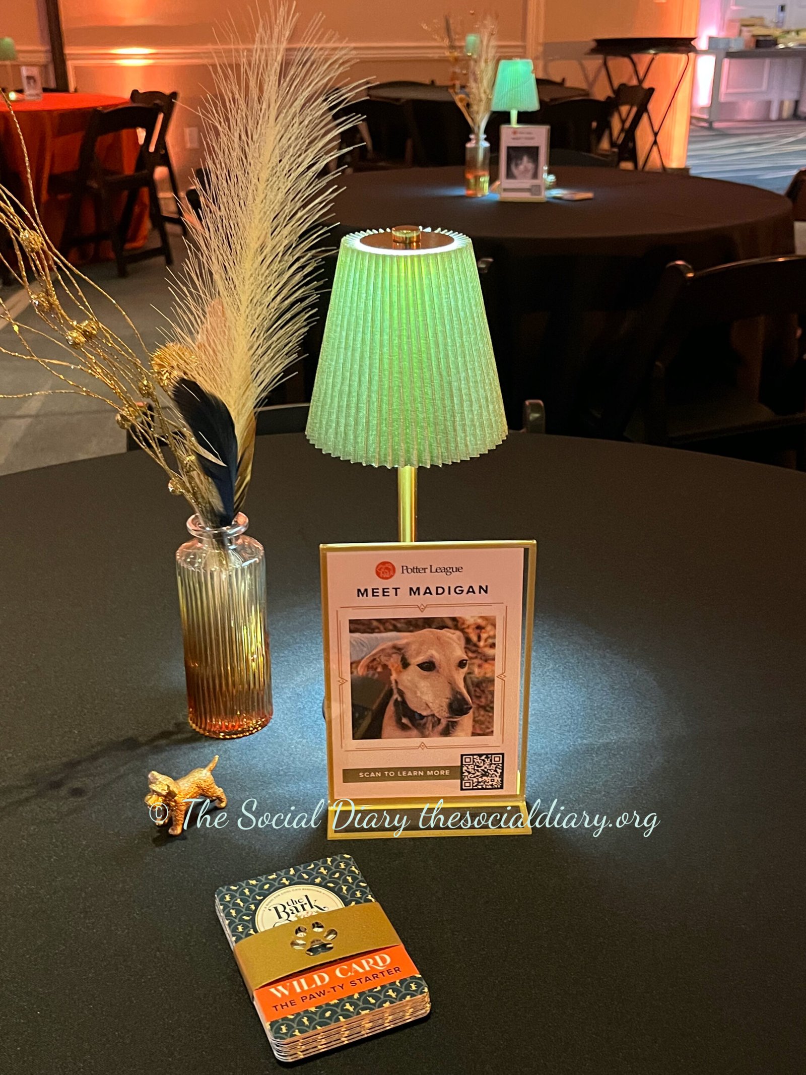 Potter League Bark and Boogie - Madigan card - The Social Diary