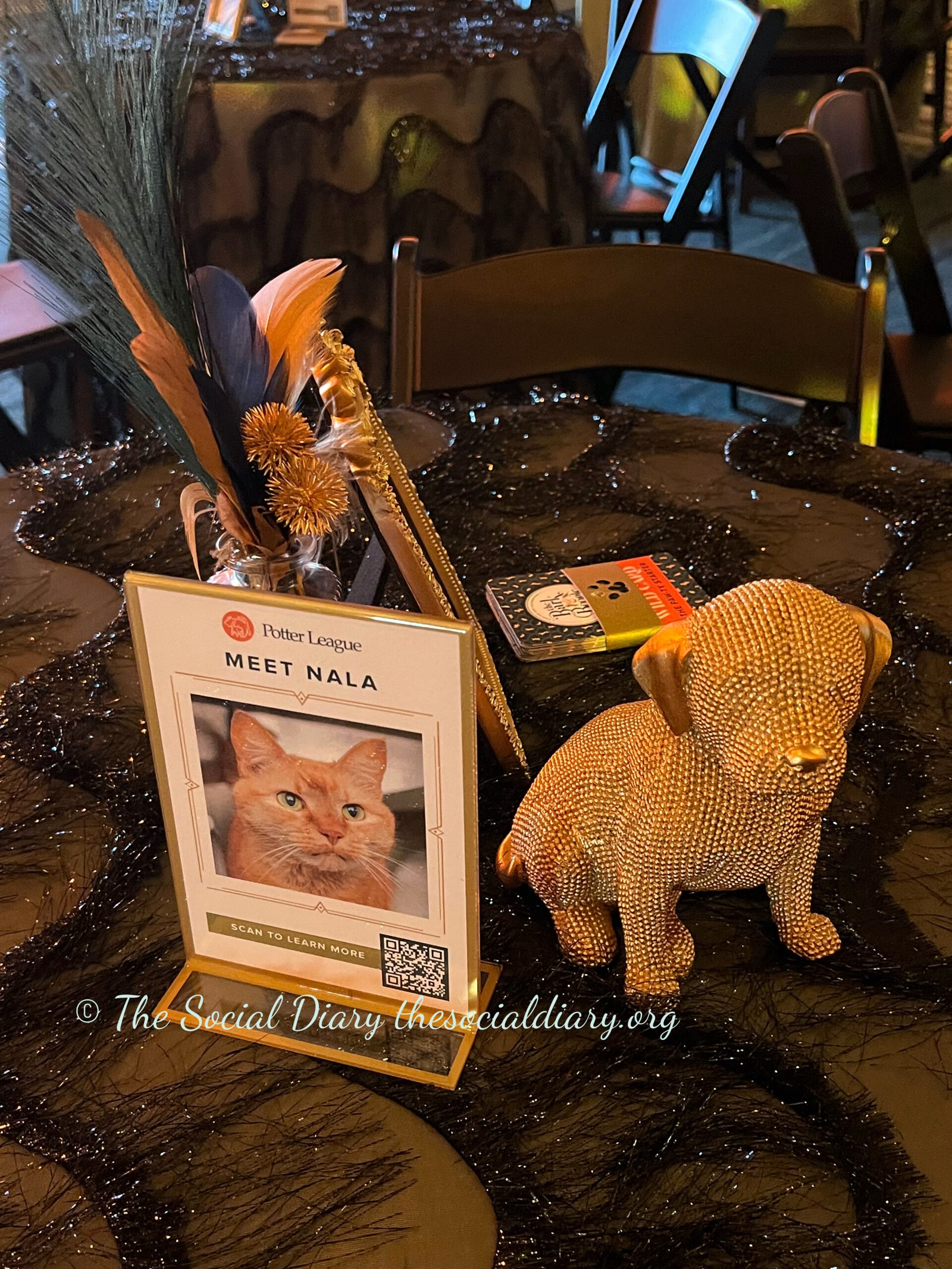Potter League Bark and Boogie Nala card - The Social Diary