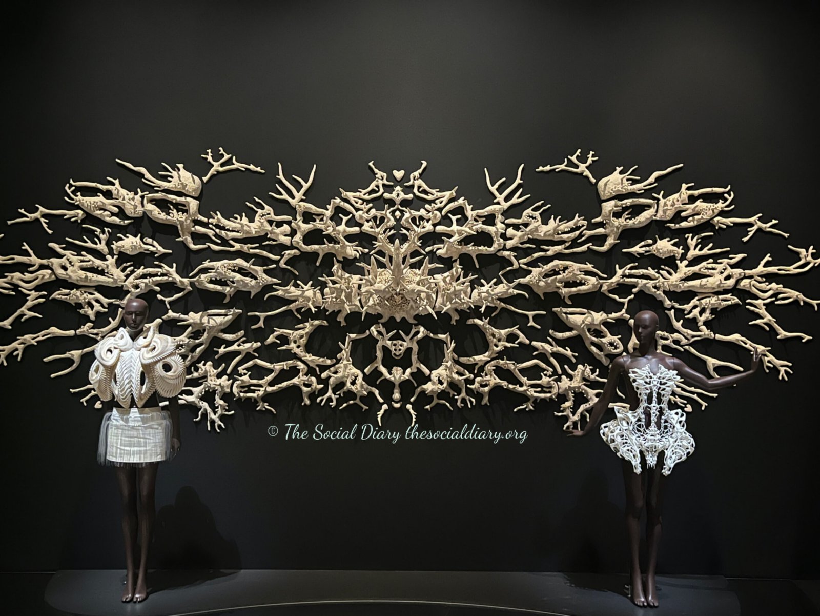 Iris van Herpen Brookly Talks - The Social Diary
