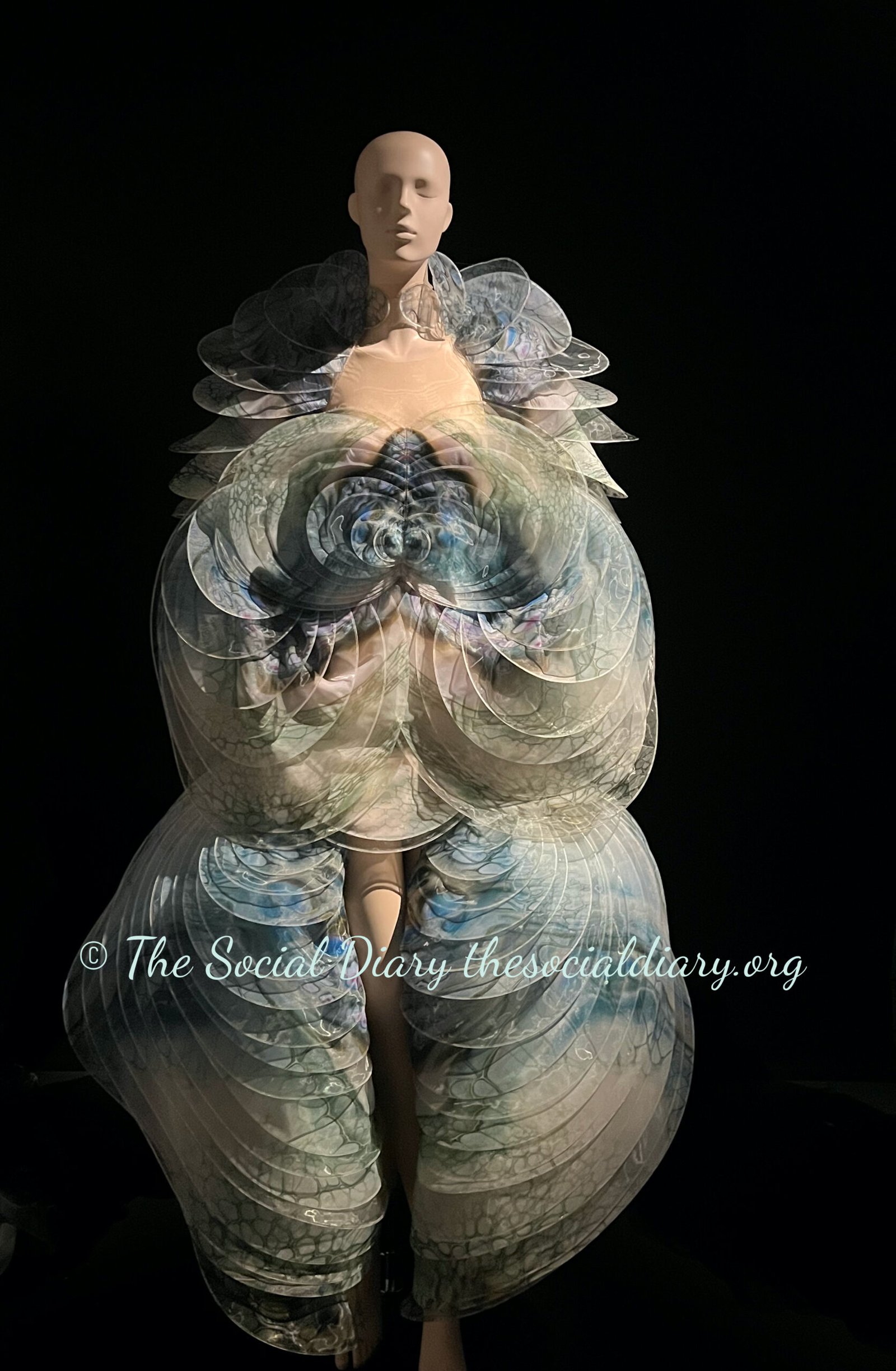 Iris van Herpen Brooklyn Talks Sensory Sea Life4 - The Social Diary