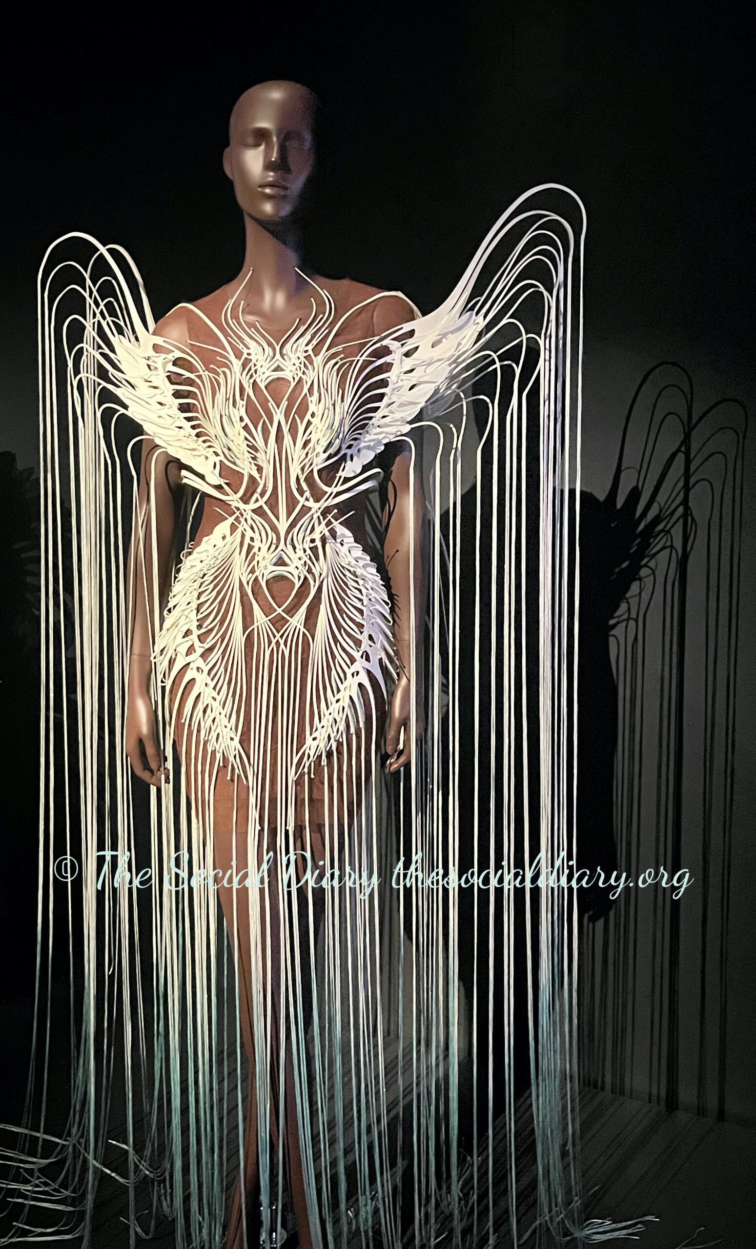 Iris van Herpen Brooklyn Talks Sensory Sea Life5 - The Social Diary