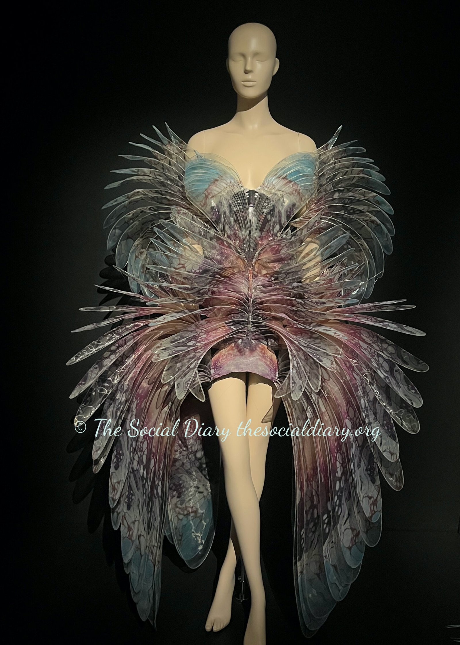 Iris van Herpen Brooklyn Talks Sensory Sea Life6 - The Social Diary