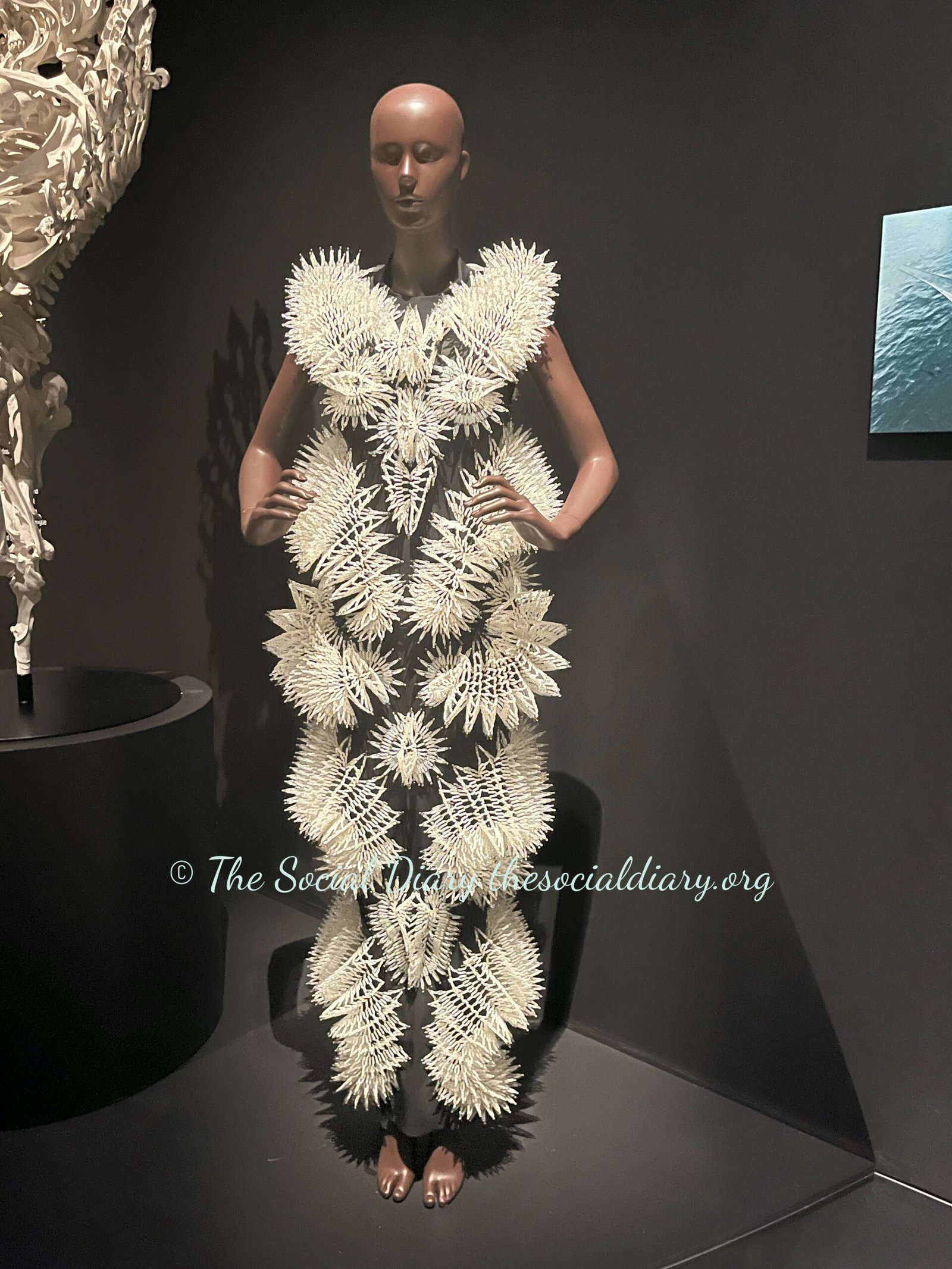 Iris van Herpern Brooklyn Talk Skeletal Embodiment1 - The Social Diary