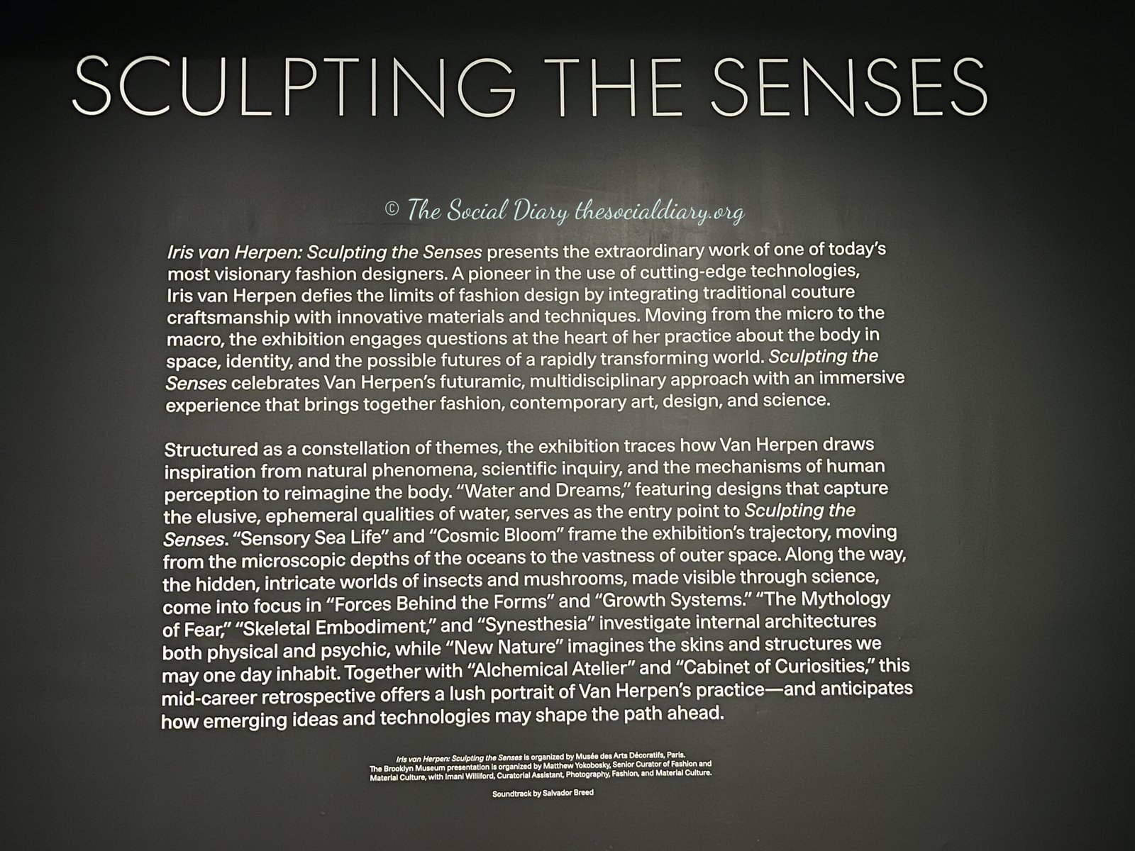 Iris van Herpen Sculpting the Senses - Brooklyn Talks - The Social Diary