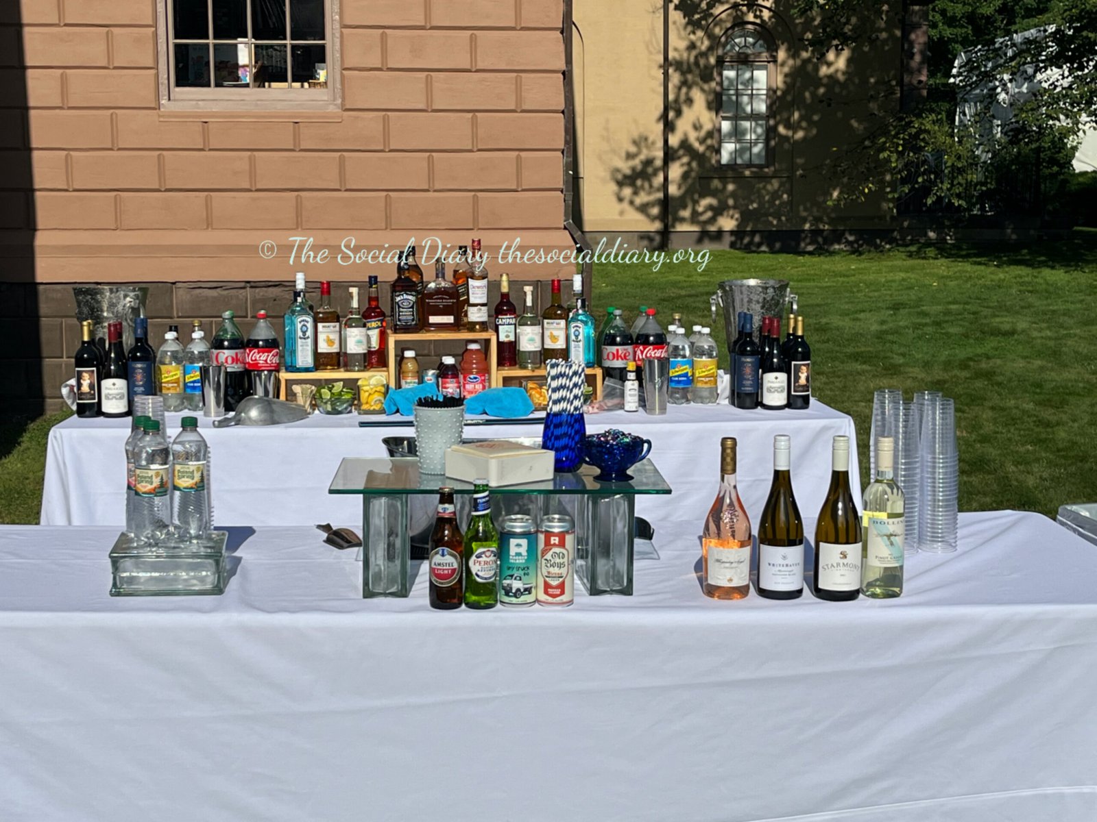 Redwood Garden Party Chin Chin - The Social Diary
